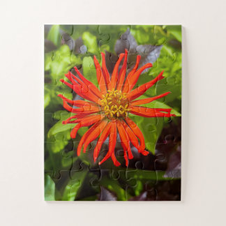 Puzzle Radiant Orange Zinnia | Floral Tribute to Alzheime
