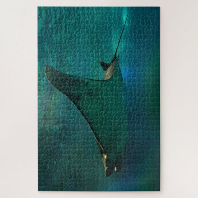 Puzzle Raie manta dans un aquarium. (Vertical)