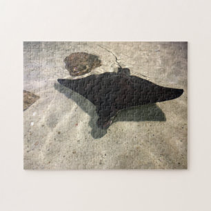 Puzzle Raie pastenague