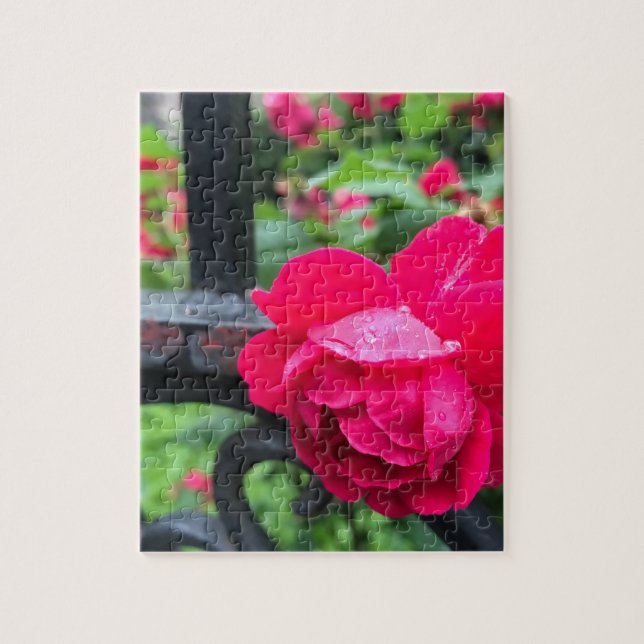 Puzzle Raindrops Rose Flower Roses Rainy Day NYC (Vertical)