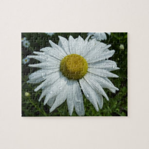 Puzzle Raindrops sur Daisy II Floral Fleur sauvage