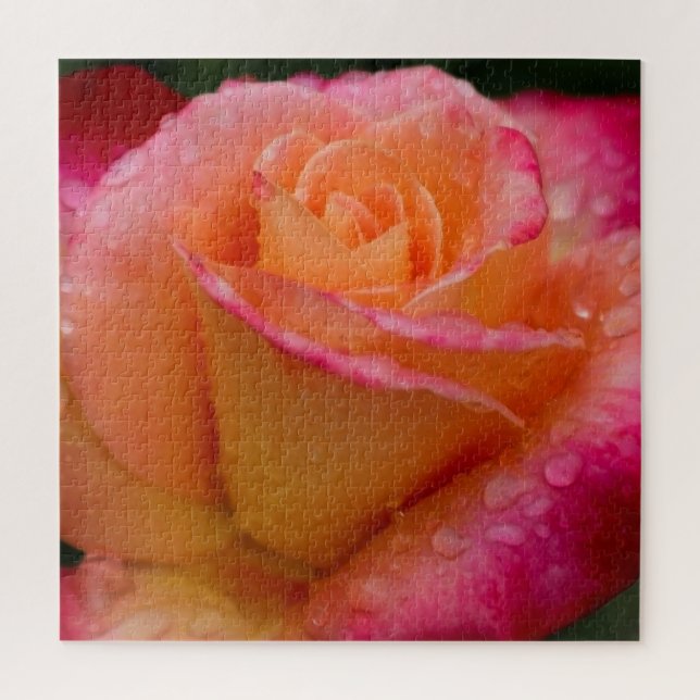 Puzzle Raindrops sur Rose 20x20 dur (Vertical)