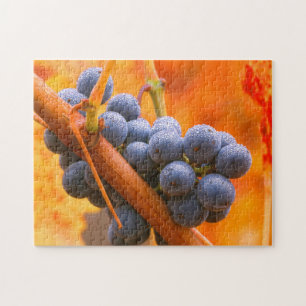 Puzzle Raisin de vigne dans le vignoble