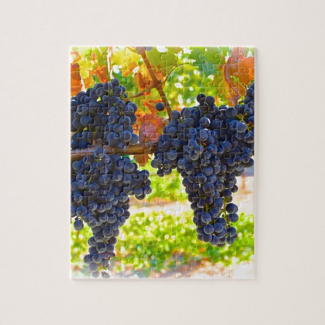 Puzzle Raisins de cuve (Vertical)