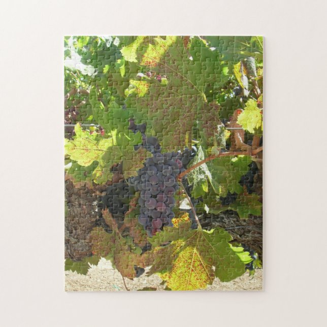 Puzzle - Raisins sur vigne (Vertical)