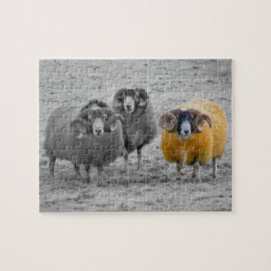 Puzzle RAM écossaises
