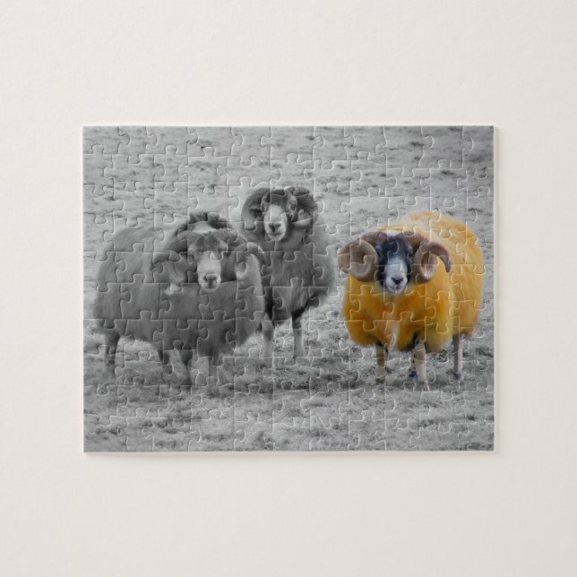 Puzzle RAM écossaises (Horizontal)