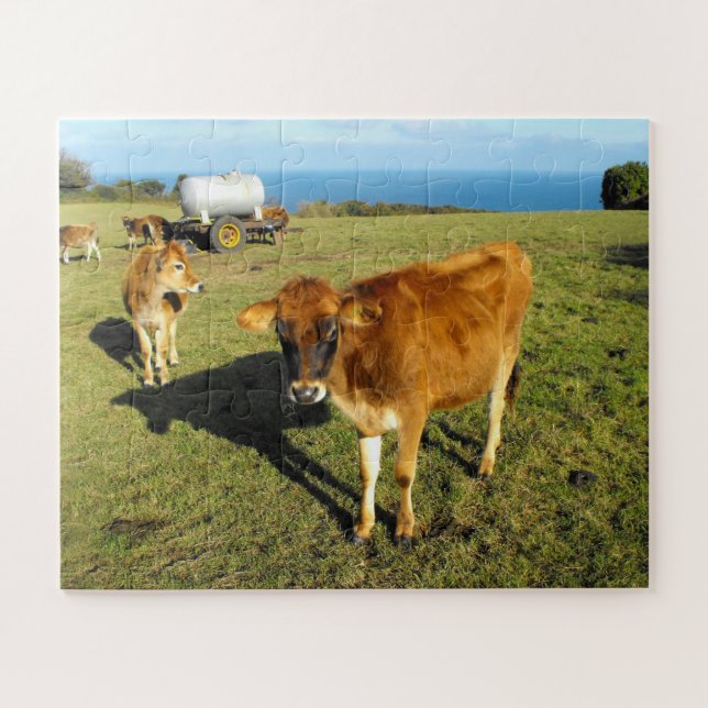 Puzzle Rameaux de Jersey (Horizontal)