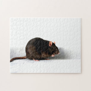 Puzzle Rat 11x14 jpcna 252pc