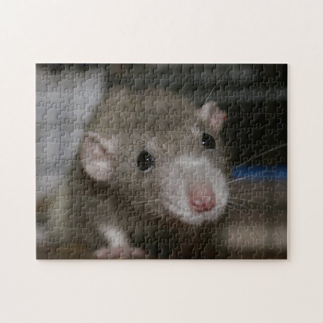 Puzzle Rat curieux (Horizontal)