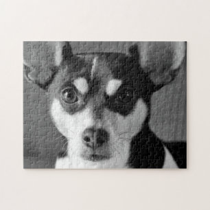 Puzzle Rat terrier, noir et blanc,