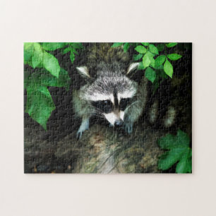 Puzzle Raton laveur curieux dans Bush