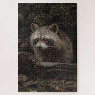 Puzzle Raton laveur curieux dans l'animal de la forêt