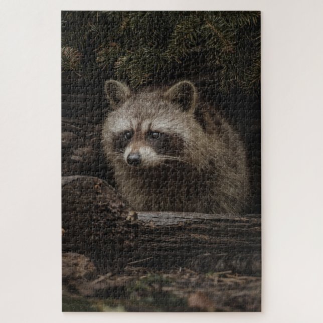 Puzzle Raton laveur curieux dans l'animal de la forêt (Vertical)