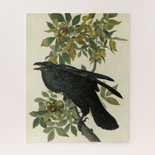 Puzzle Raven