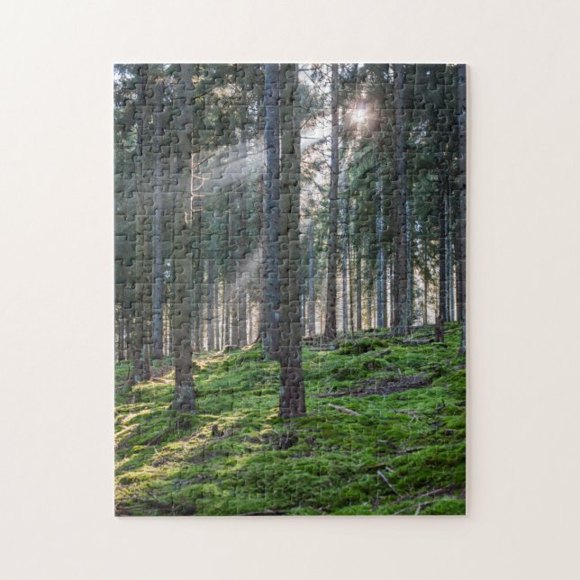 Puzzle Rayons de soleil dans la Forêt-Noire (Vertical)