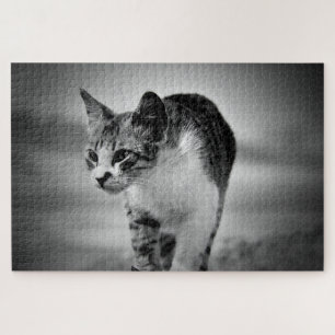 Puzzle recherche casse-tête