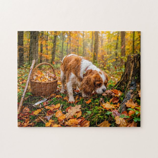 Puzzle Recherche de champignons par un spaniel dans une f (Horizontal)