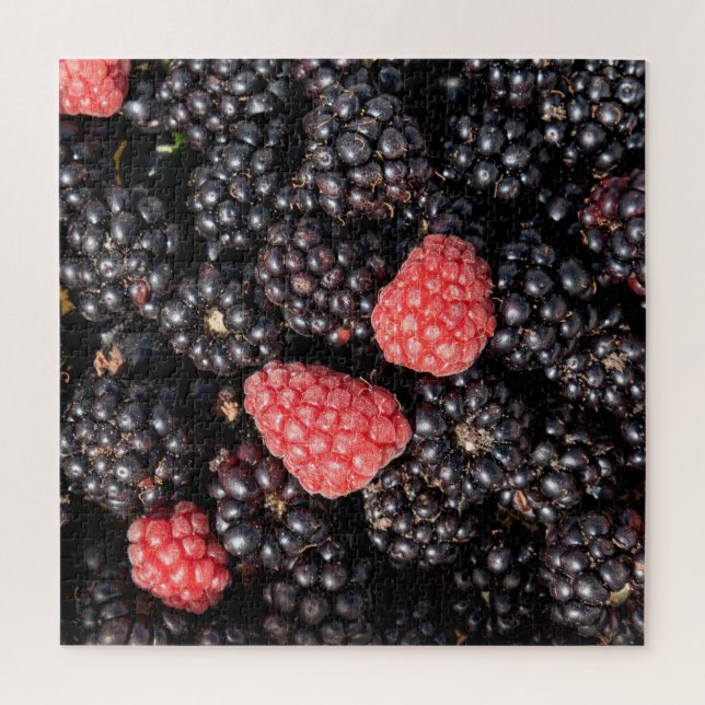 Puzzle Récolte de mûres et de framboises  (Vertical)