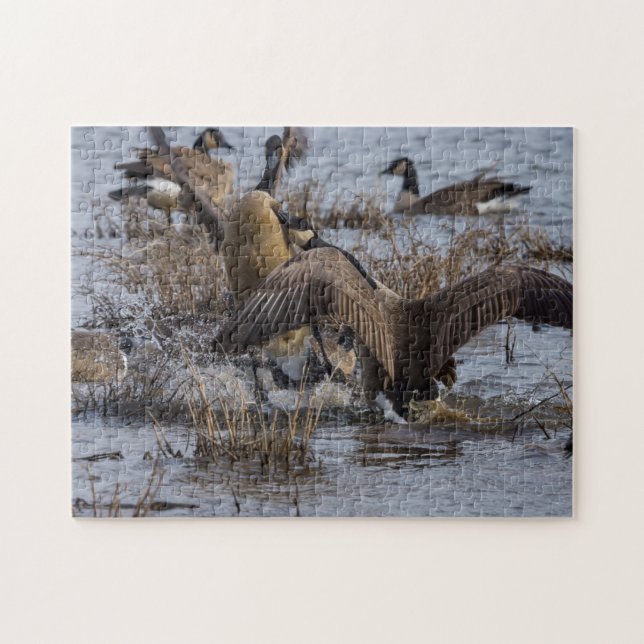 Puzzle Reculez (Horizontal)