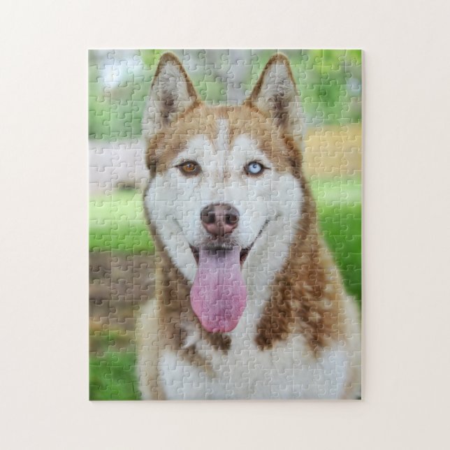 Puzzle Red and White Husky Dog (Vertical)