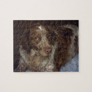 Puzzle Red Brittany Spaniel chien épagneul breton roux