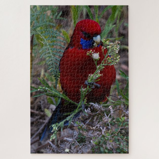 Puzzle Red Crimson Rosella Bird Eating, 1014 pieces (Vertical)