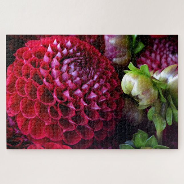 Puzzle Red Dahlia Challenge (Horizontal)