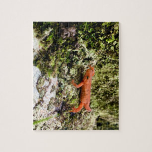 Puzzle Red Eft Puzzle, 28 x 35,6 cm, 252 pièces