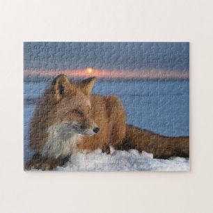 Puzzle Red Fox