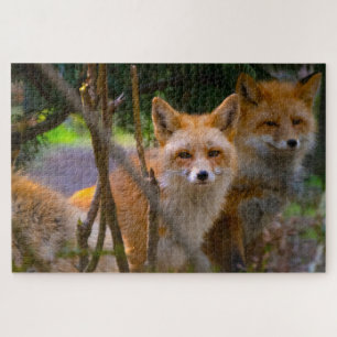 Puzzle Red Fox Family Challenging Nature Lover