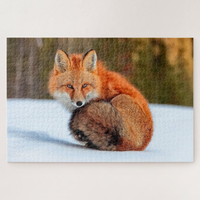 Puzzle Red Fox In Snow | Yukon (Horizontal)