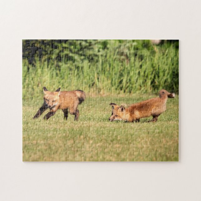 Puzzle Red Fox Kits Jouer (Horizontal)