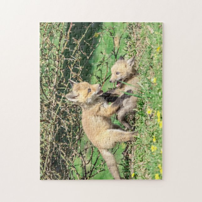 Puzzle Red Fox Kits Jouer (Vertical)