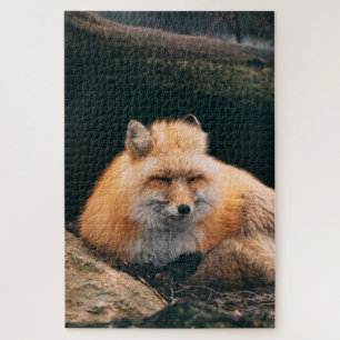 Puzzle Red Fox Sleeping