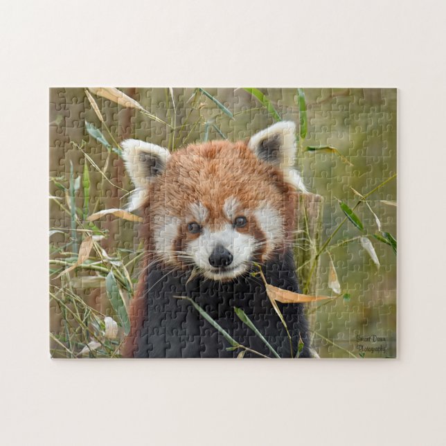 Puzzle Red Panda  (Horizontal)