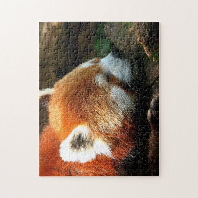 Puzzle Red Panda (Vertical)
