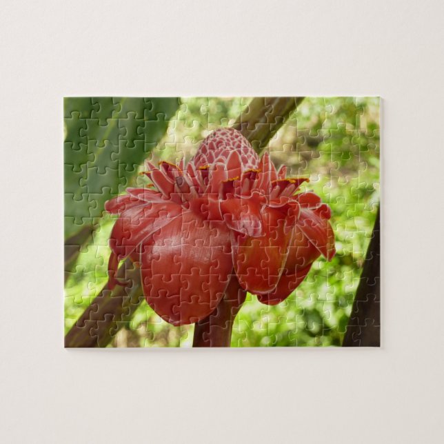 Puzzle Red Torch Ginger Tropical Flower Photographie (Horizontal)