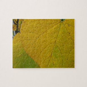 Puzzle Redbud Jaune Feuille Automne Photographie de la na