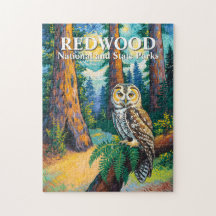 Redwood National Park Colorful Forest Owl Wildlife