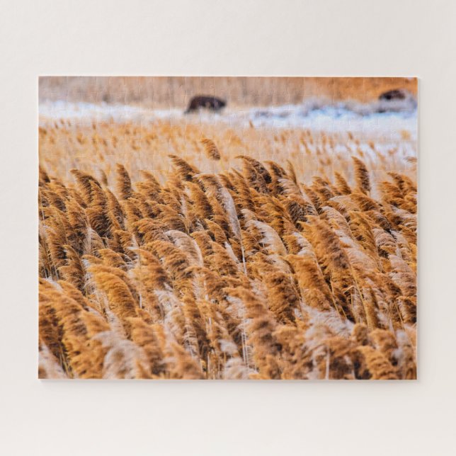 Puzzle Reeds of Antelope Island, Utah - 16x20 - 520 pcs. (Horizontal)