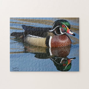 Puzzle Réflexion du canard de bois mâle 