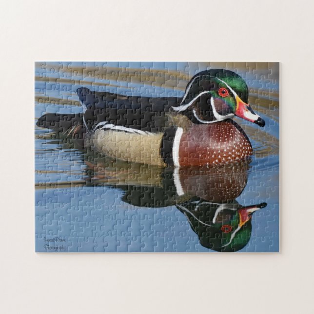 Puzzle Réflexion du canard de bois mâle (Horizontal)