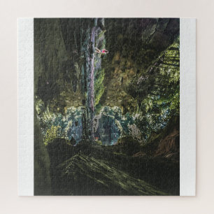 Puzzle Réflexion sur Turkey Run State Park