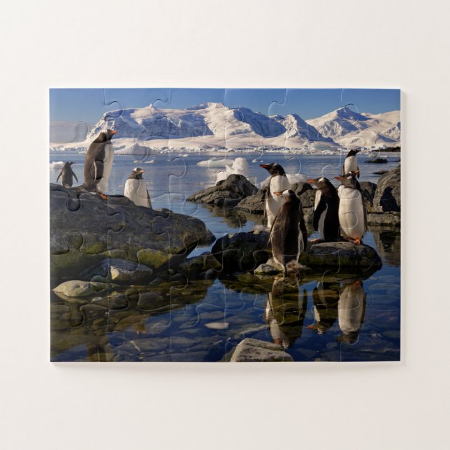 Puzzle Réflexions de pingouins Gentoo en Antarctique (Horizontal)