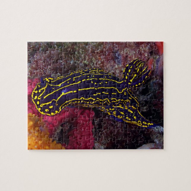 Puzzle Regal Sea Goddess Nudibranche Felimare picta (Horizontal)