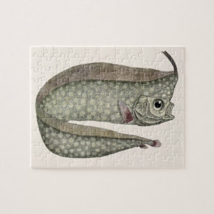 Puzzle Régale Crêté, Poisson, Vie Marine Aquatique Vintag