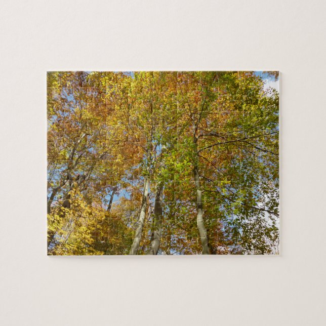 Puzzle Regard sur les feuilles d'automne III Foliage colo (Horizontal)
