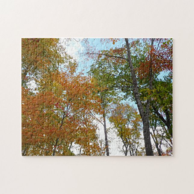 Puzzle Regardant vers les feuilles d'automne I Feuillage  (Horizontal)
