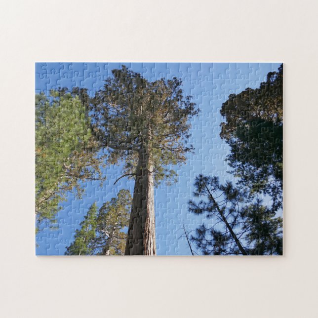 Puzzle Regardant vers Mariposa Grove (Horizontal)